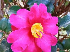 -桃花涧