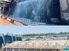 -呀路古热带植物园