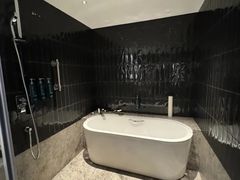 -新加坡乌节希尔顿酒店 (SG Clean)