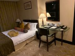 -嘉瑞酒店有限公司