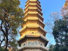 -灵谷景区