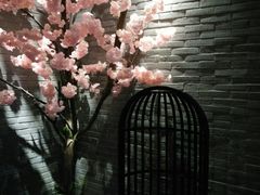 -尚橙歌坊主题式KTV(恒大商业广场店)