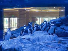 -上海海昌海洋公园