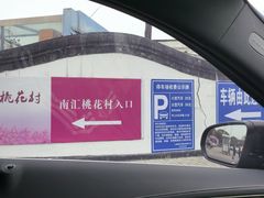 -南汇桃花村