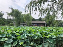 -承德避暑山庄景区