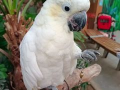 -南宫五洲植物乐园