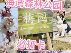 -上海海湾国家森林公园