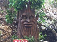 -古龙峡云天玻霸