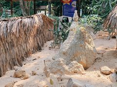 -广州长隆野生动物世界