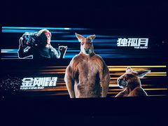 -CGV影城(梅江ScreenX店)
