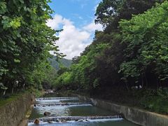 -广州白江湖森林公园