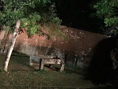-清迈夜间动物园