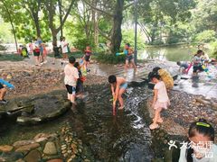 -成都市活水公园