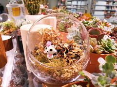 -KKV(深圳宏发大仟里店)