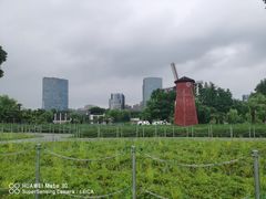 -大宁郁金香公园-停车场