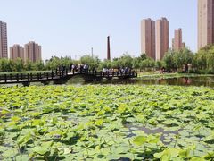-前关湿地公园