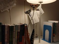 -猫的天空之城概念书店(西塘古镇店)