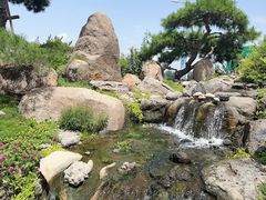 -罗红摄影艺术馆