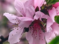 -宝山日月光中心