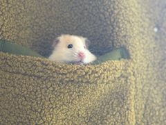 -万达广场(芜湖镜湖店)