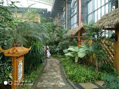 -郑州银基黄帝宫御温泉