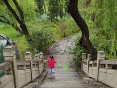 -百脉泉景区