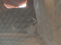 -全心全意连锁动物医院·微创中心·内科急重症·心脏专科(丰管路店)