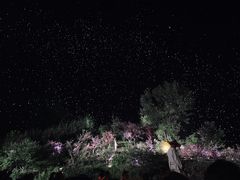 -常德桃花源景区