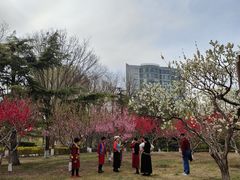 -康庄公园