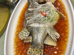 -刘胖子家常菜·蹄花焖藕(中南店)