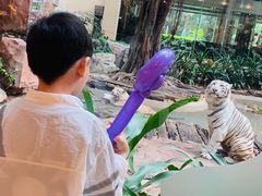 -白虎自助餐厅·真老虎·景观自助餐厅(广州长隆酒店)