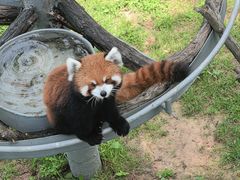 -西霞口神雕山野生动物世界