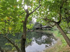 -常德桃花源景区
