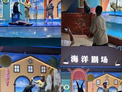 -重庆欢乐海底世界