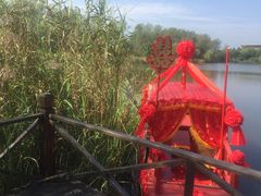 -溱湖国家湿地公园