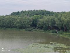 -昆山城市生态森林公园