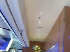 -茉莉奶白(广州动漫星城店)