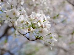 -南京市江宁方山