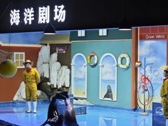 -重庆欢乐海底世界