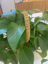 -悦颜美佳·美容·美甲美睫