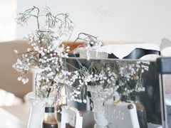 -混沌·星球