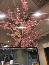 -时尚殿堂明星门店