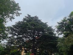 -青岛德国总督楼旧址博物馆
