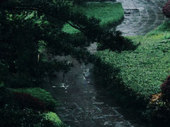 -望江楼公园