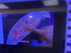-北京观赏动物医院·24小时大型综合·猫专科·异宠专科