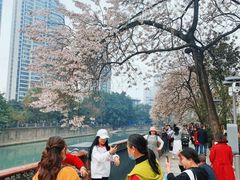 -成都市活水公园