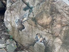 -京东石林峡风景区