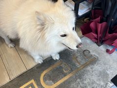 -OZ cafe(南昌路店)