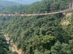 -九龙江国家森林公园