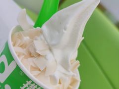 香烤椰片-Salud撒露欧洲冻酸奶(五道口购物中心店)